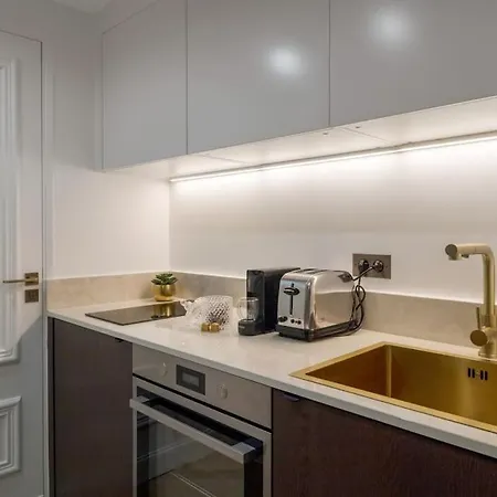 Luxueuse Palais De L'elysee Faubourg Saint Honore - 8e Appartement Parijs