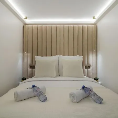 Appartement Luxueuse Palais De L'elysee Faubourg Saint Honore - 8e